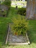 image of grave number 387360
